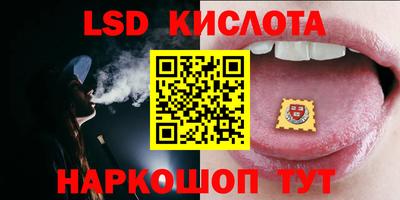 СК Шахты