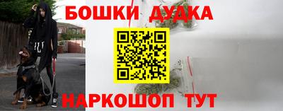 СК Шахты