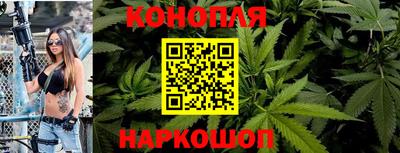 СК Шахты