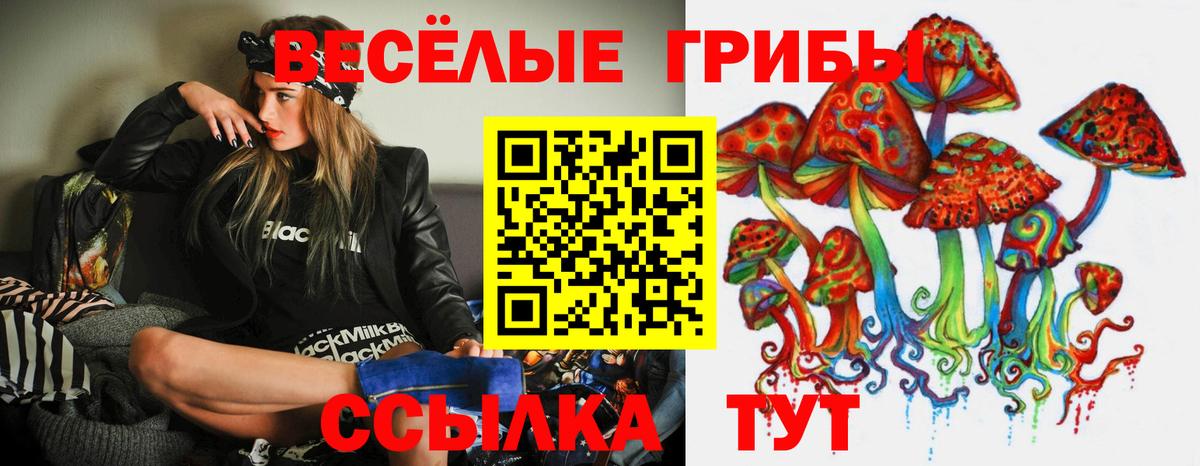 Грозный  Псилоцибиновые грибы мицелий  Вход с VPN 